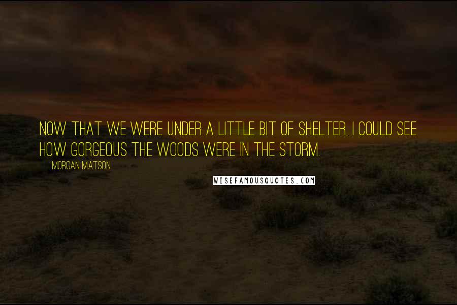 Morgan Matson Quotes: Now that we were under a little bit of shelter, I could see how gorgeous the woods were in the storm.