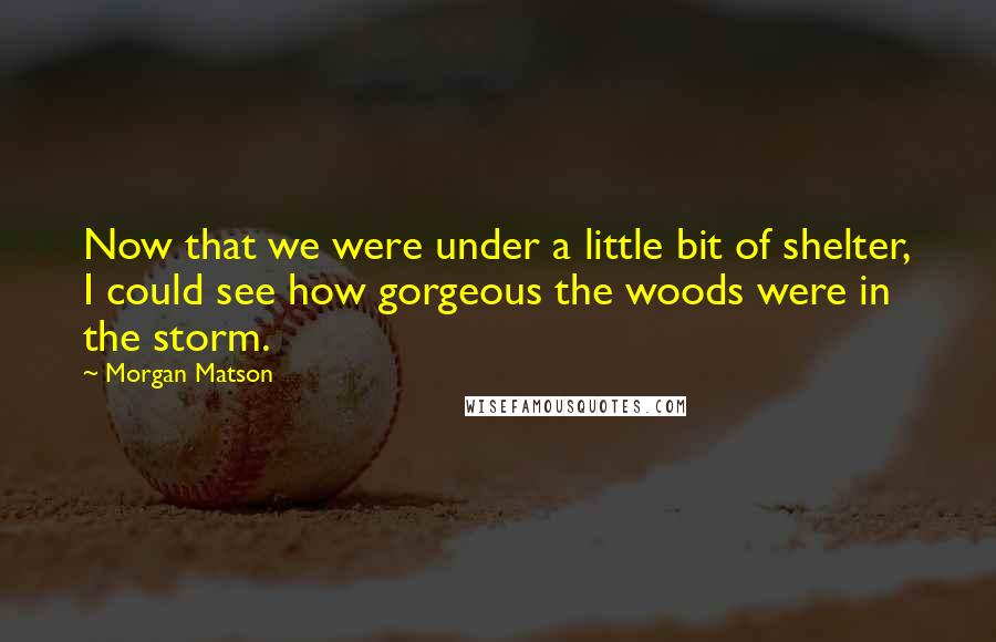 Morgan Matson Quotes: Now that we were under a little bit of shelter, I could see how gorgeous the woods were in the storm.