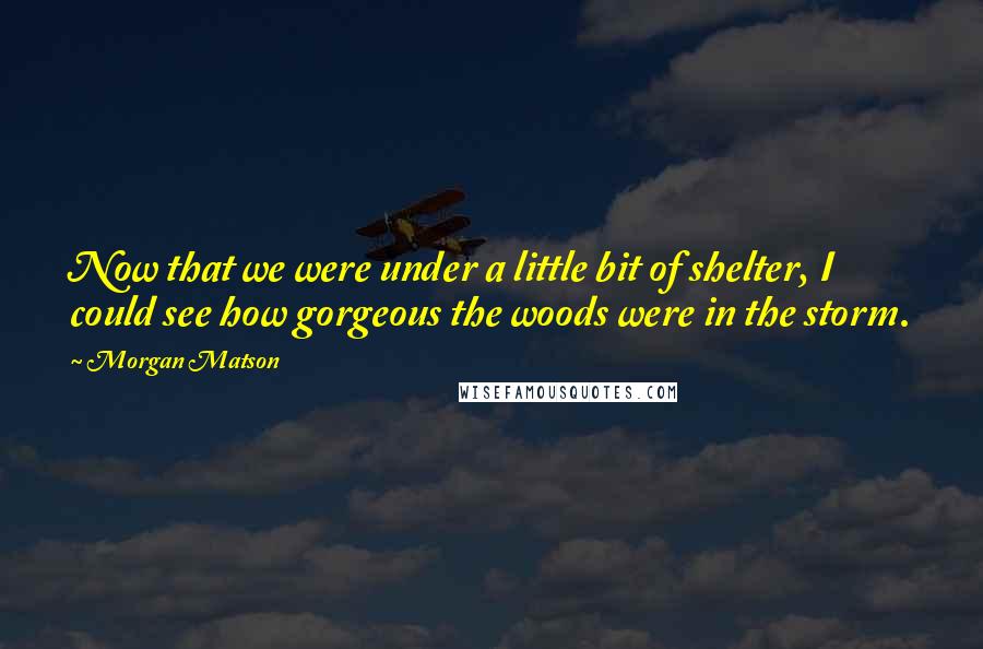 Morgan Matson Quotes: Now that we were under a little bit of shelter, I could see how gorgeous the woods were in the storm.