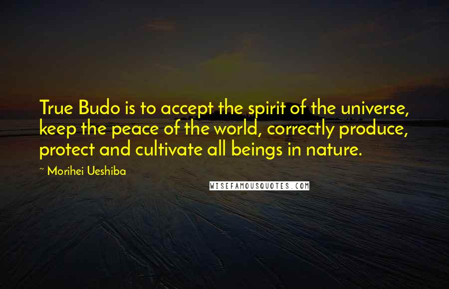 Morihei Ueshiba Quotes: True Budo is to accept the spirit of the universe, keep the peace of the world, correctly produce, protect and cultivate all beings in nature.