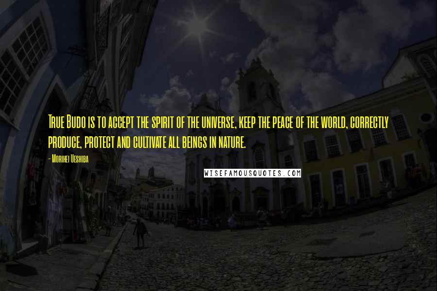 Morihei Ueshiba Quotes: True Budo is to accept the spirit of the universe, keep the peace of the world, correctly produce, protect and cultivate all beings in nature.