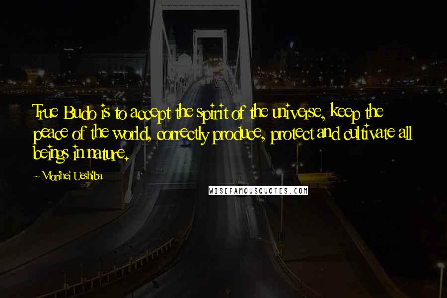 Morihei Ueshiba Quotes: True Budo is to accept the spirit of the universe, keep the peace of the world, correctly produce, protect and cultivate all beings in nature.