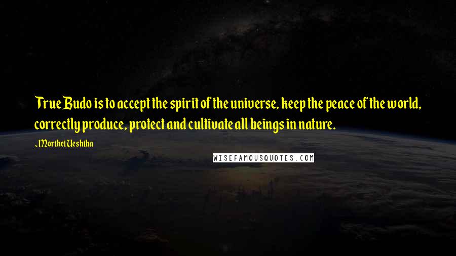 Morihei Ueshiba Quotes: True Budo is to accept the spirit of the universe, keep the peace of the world, correctly produce, protect and cultivate all beings in nature.