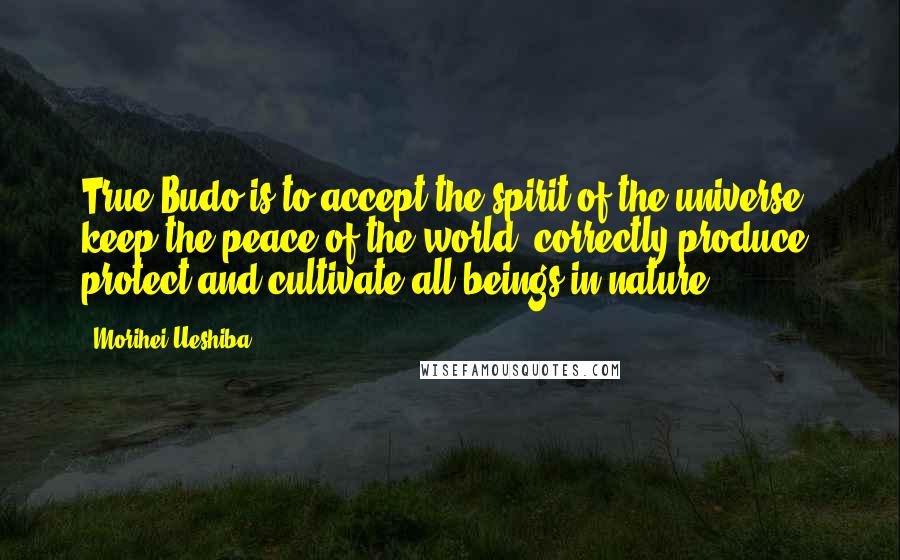 Morihei Ueshiba Quotes: True Budo is to accept the spirit of the universe, keep the peace of the world, correctly produce, protect and cultivate all beings in nature.