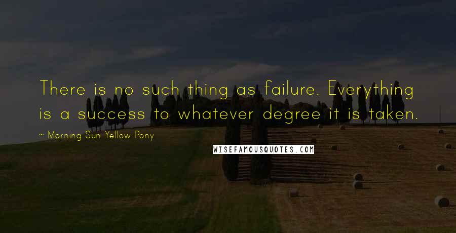 Morning Sun Yellow Pony Quotes: There is no such thing as failure. Everything is a success to whatever degree it is taken.