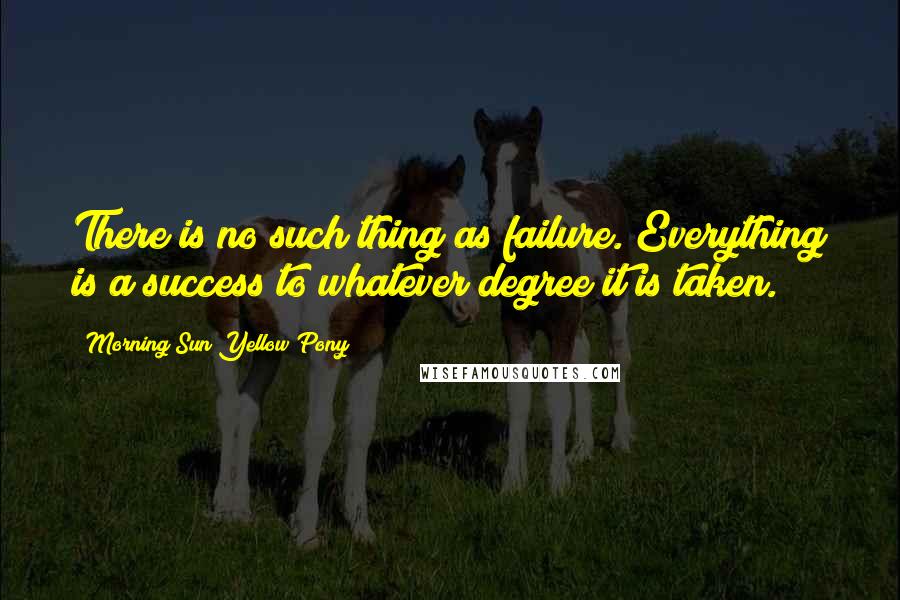 Morning Sun Yellow Pony Quotes: There is no such thing as failure. Everything is a success to whatever degree it is taken.