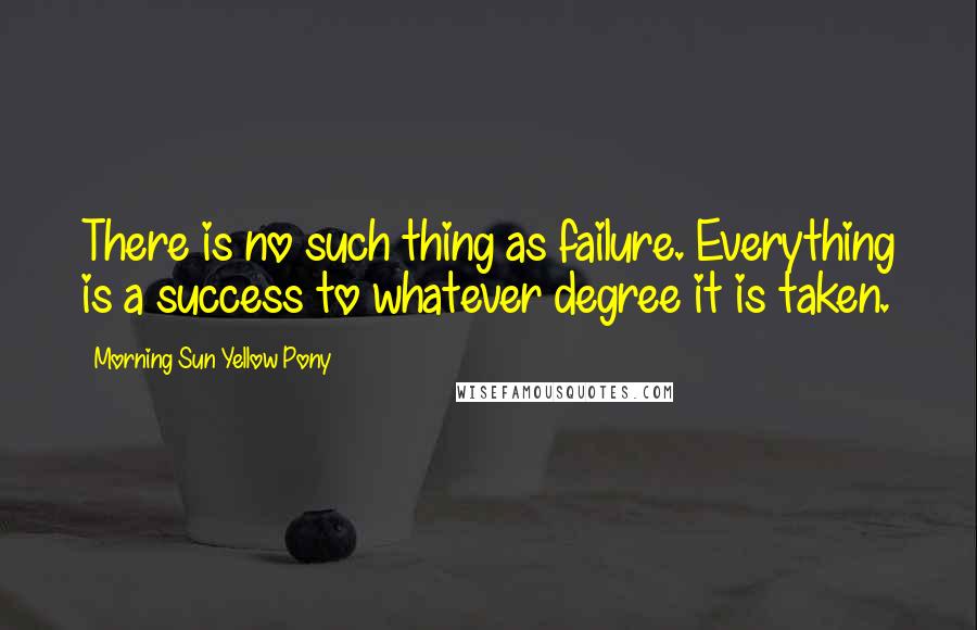 Morning Sun Yellow Pony Quotes: There is no such thing as failure. Everything is a success to whatever degree it is taken.