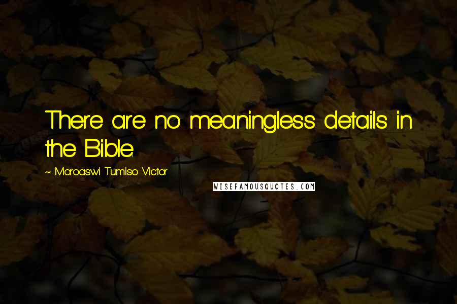 Moroaswi Tumiso Victor Quotes: There are no meaningless details in the Bible.