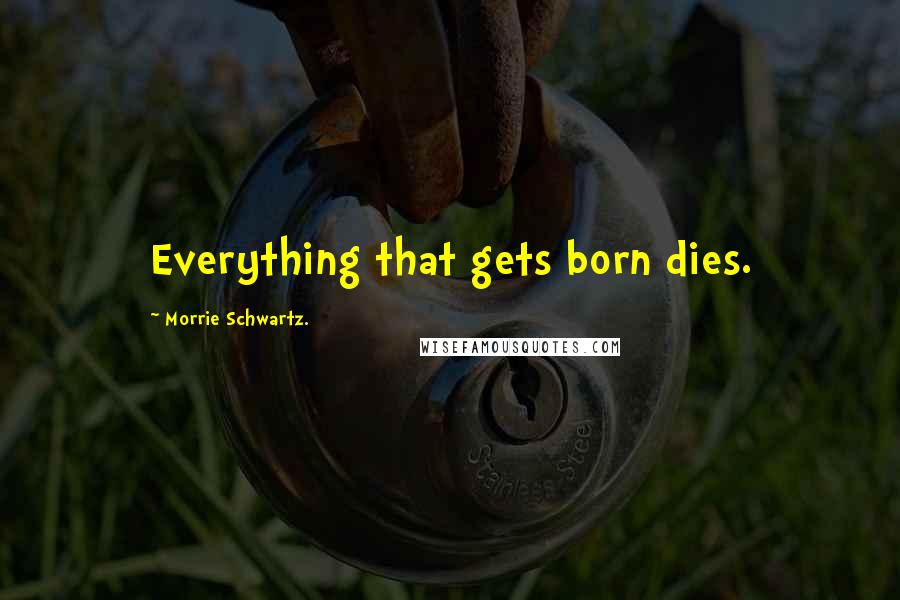 Morrie Schwartz. Quotes: Everything that gets born dies.