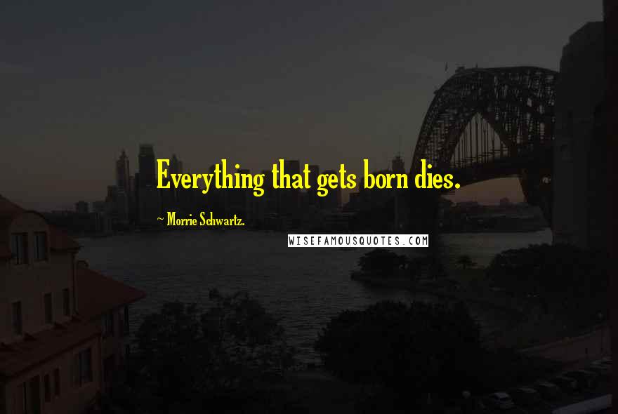 Morrie Schwartz. Quotes: Everything that gets born dies.