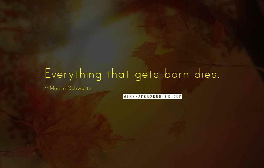 Morrie Schwartz. Quotes: Everything that gets born dies.