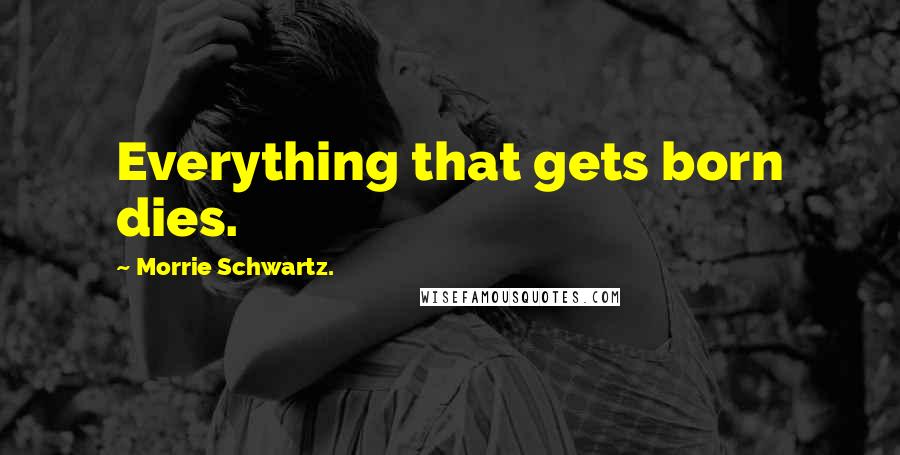 Morrie Schwartz. Quotes: Everything that gets born dies.