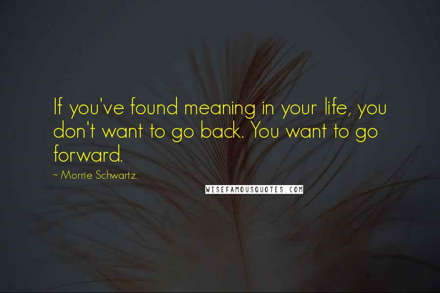 Morrie Schwartz. Quotes: If you've found meaning in your life, you don't want to go back. You want to go forward.