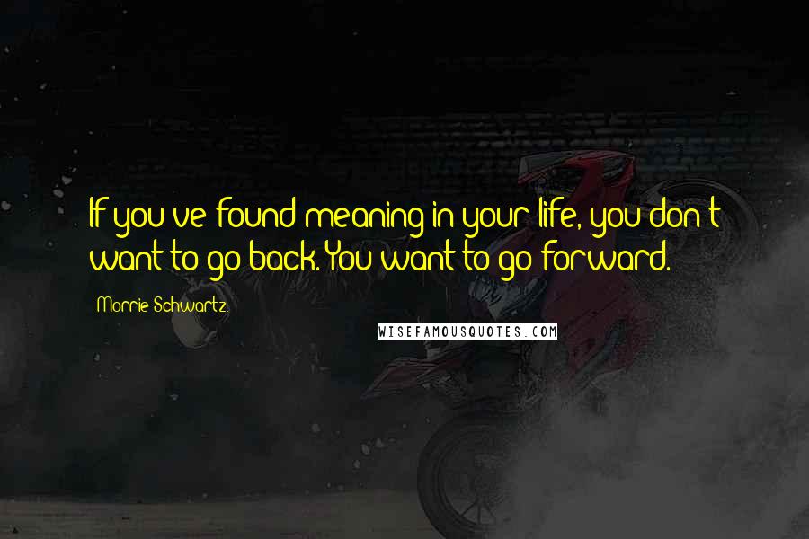 Morrie Schwartz. Quotes: If you've found meaning in your life, you don't want to go back. You want to go forward.