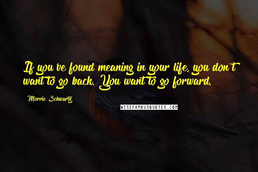 Morrie Schwartz. Quotes: If you've found meaning in your life, you don't want to go back. You want to go forward.