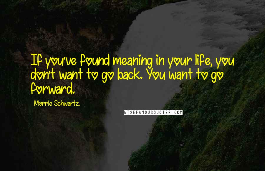 Morrie Schwartz. Quotes: If you've found meaning in your life, you don't want to go back. You want to go forward.