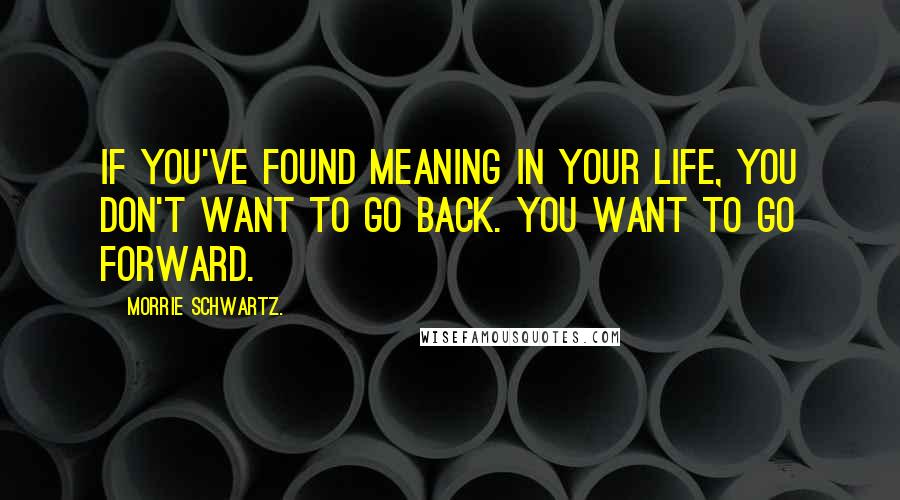 Morrie Schwartz. Quotes: If you've found meaning in your life, you don't want to go back. You want to go forward.