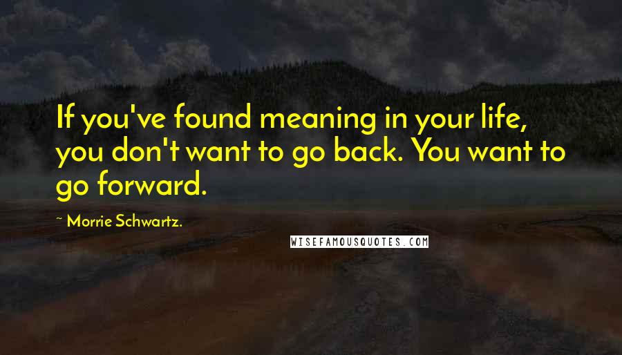 Morrie Schwartz. Quotes: If you've found meaning in your life, you don't want to go back. You want to go forward.