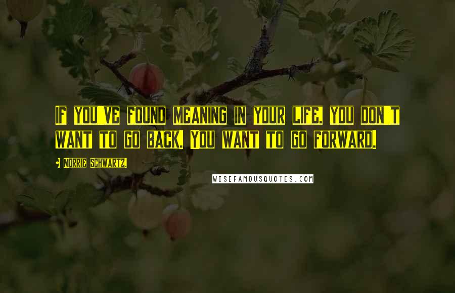 Morrie Schwartz. Quotes: If you've found meaning in your life, you don't want to go back. You want to go forward.