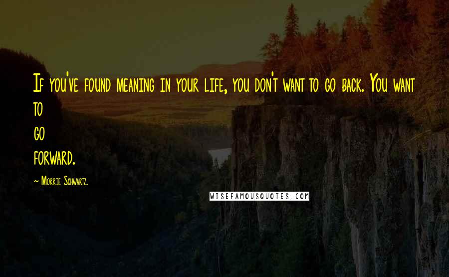Morrie Schwartz. Quotes: If you've found meaning in your life, you don't want to go back. You want to go forward.