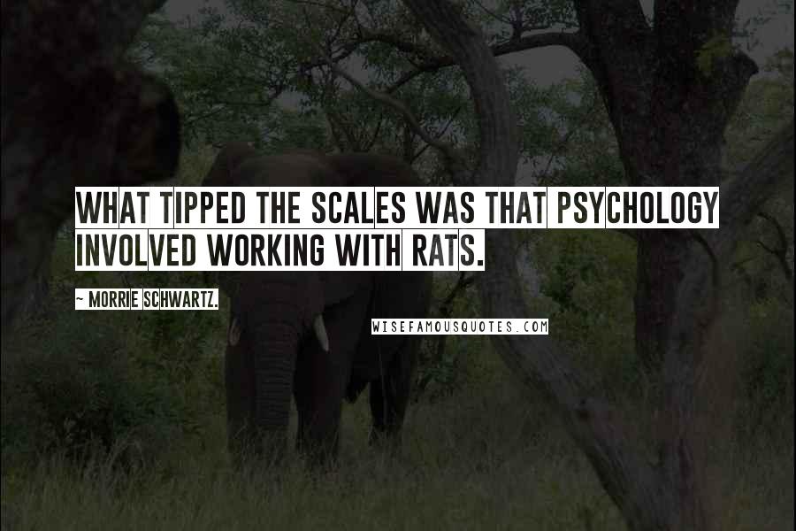 Morrie Schwartz. Quotes: What tipped the scales was that psychology involved working with rats.