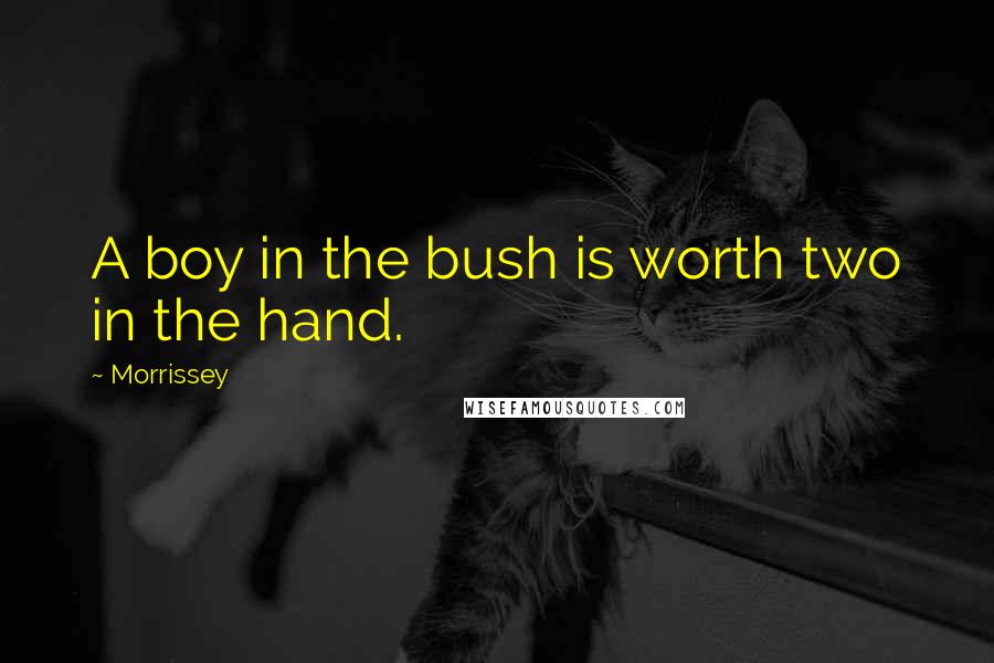 Morrissey Quotes: A boy in the bush is worth two in the hand.