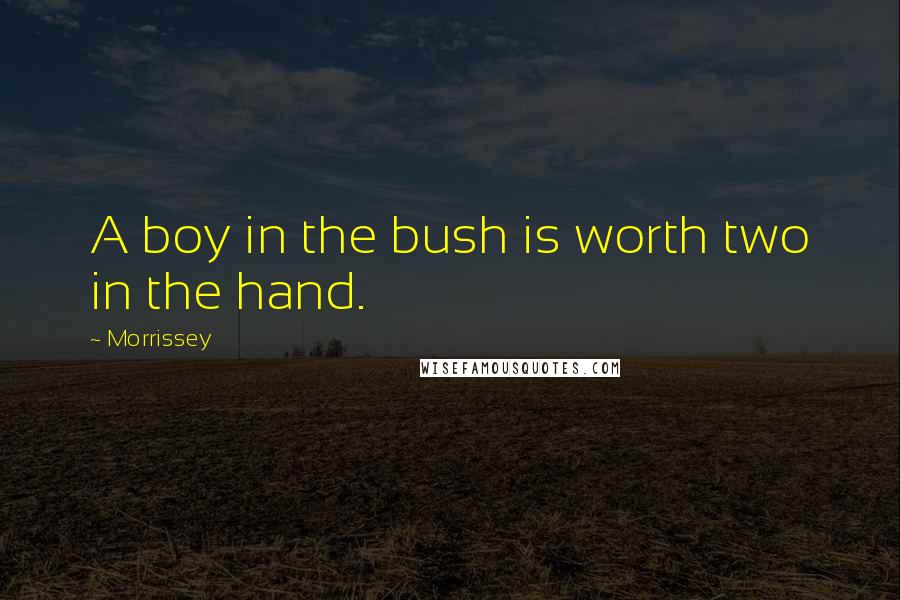 Morrissey Quotes: A boy in the bush is worth two in the hand.