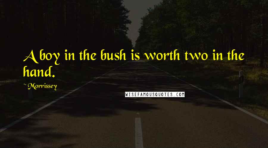 Morrissey Quotes: A boy in the bush is worth two in the hand.