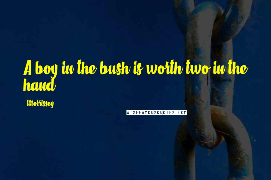 Morrissey Quotes: A boy in the bush is worth two in the hand.