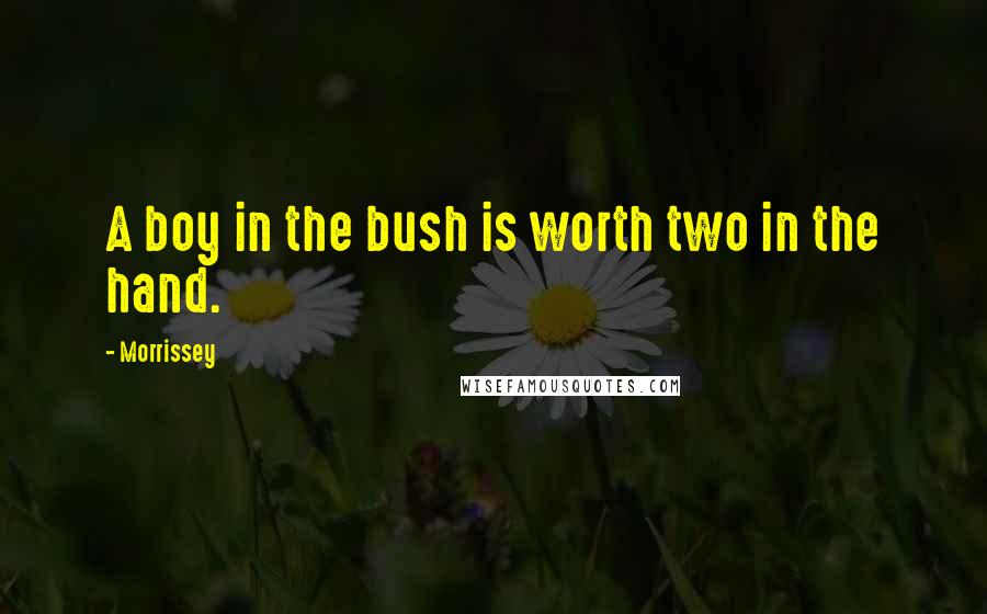 Morrissey Quotes: A boy in the bush is worth two in the hand.