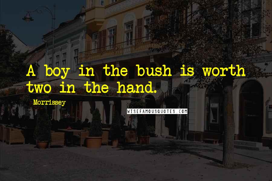 Morrissey Quotes: A boy in the bush is worth two in the hand.