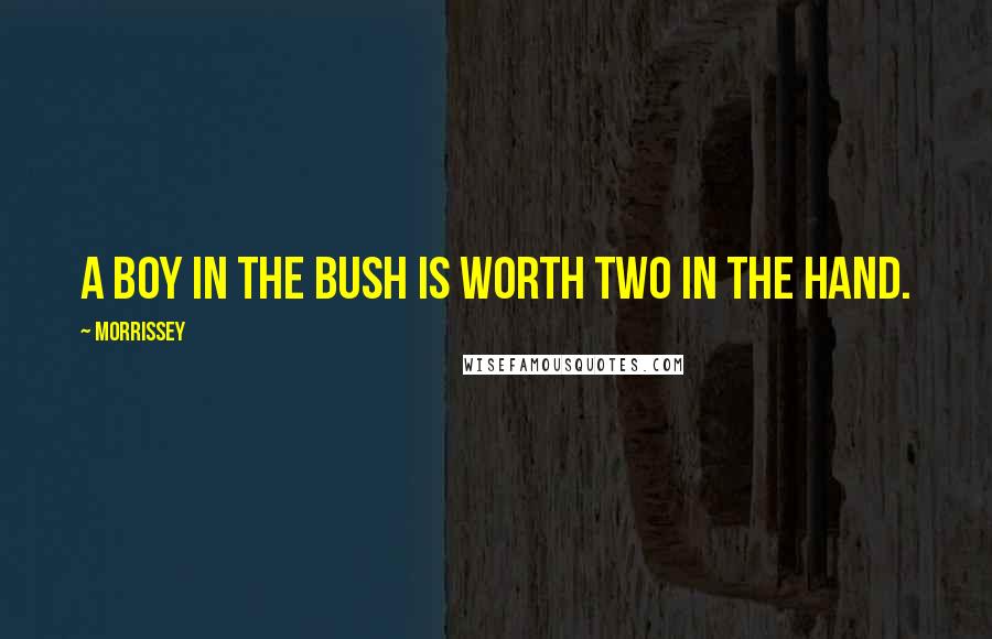 Morrissey Quotes: A boy in the bush is worth two in the hand.