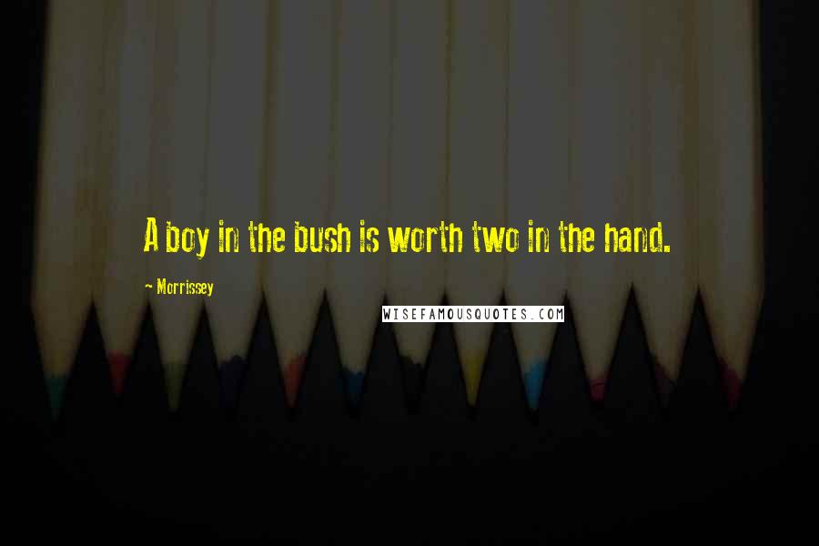 Morrissey Quotes: A boy in the bush is worth two in the hand.
