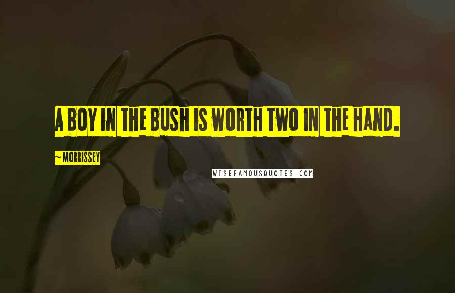 Morrissey Quotes: A boy in the bush is worth two in the hand.