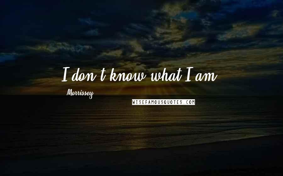 Morrissey Quotes: I don't know what I am.