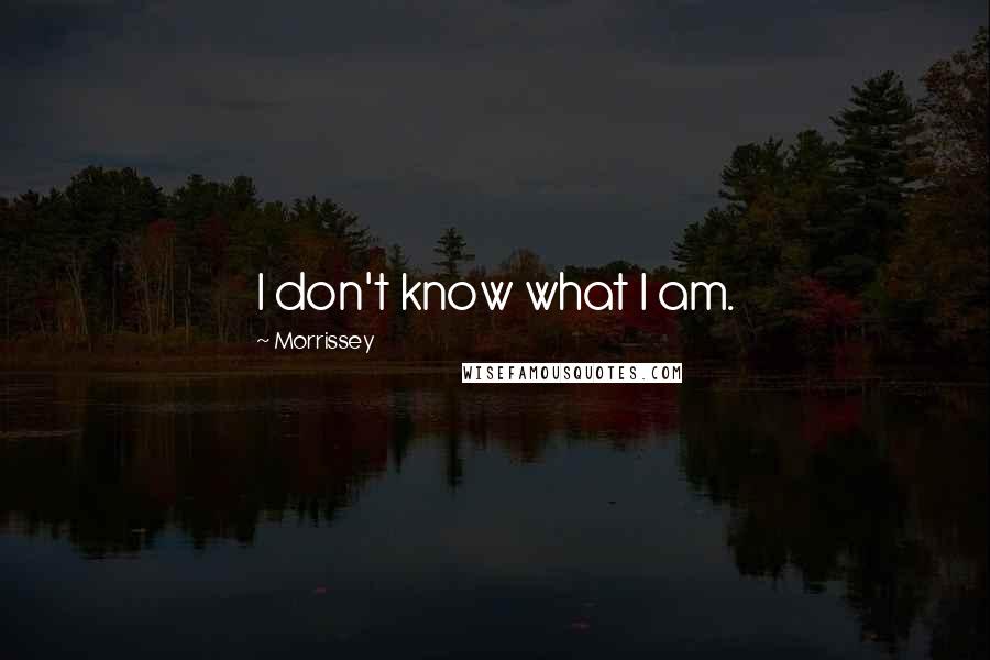 Morrissey Quotes: I don't know what I am.