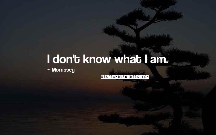 Morrissey Quotes: I don't know what I am.