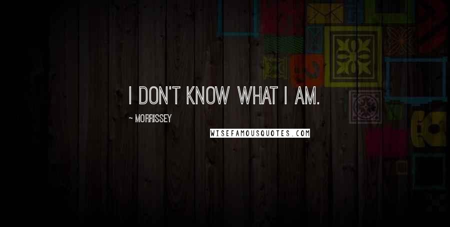 Morrissey Quotes: I don't know what I am.