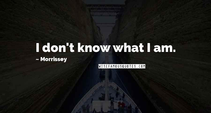 Morrissey Quotes: I don't know what I am.