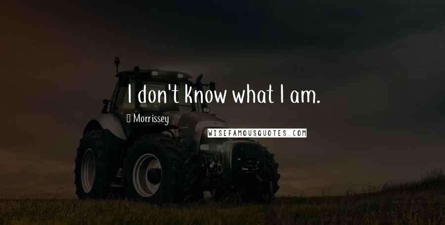 Morrissey Quotes: I don't know what I am.