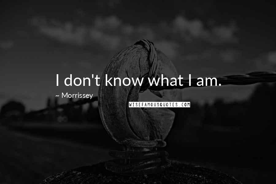 Morrissey Quotes: I don't know what I am.