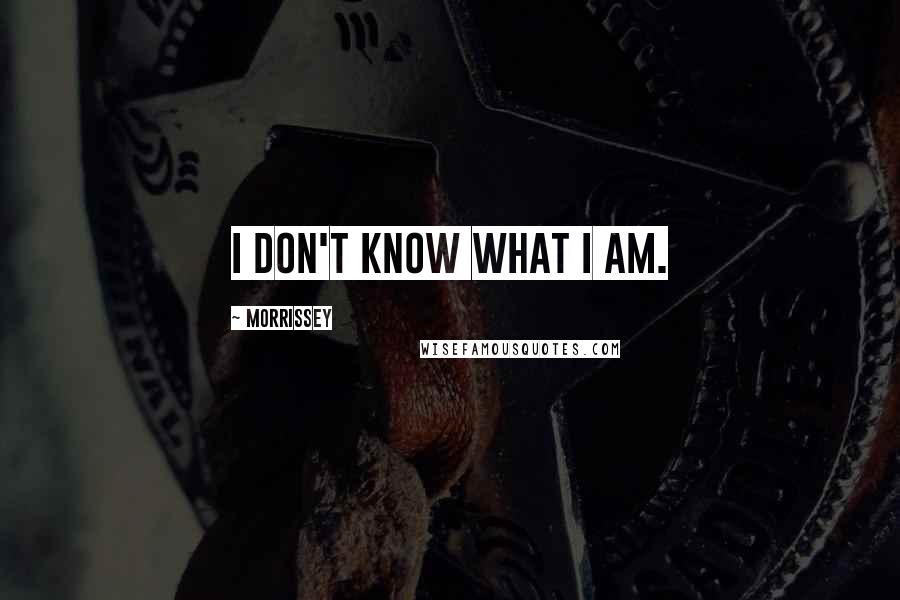 Morrissey Quotes: I don't know what I am.