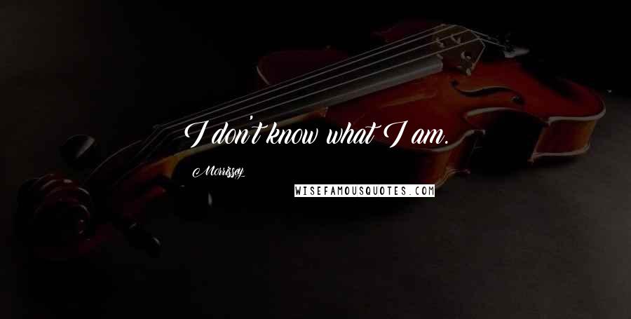 Morrissey Quotes: I don't know what I am.