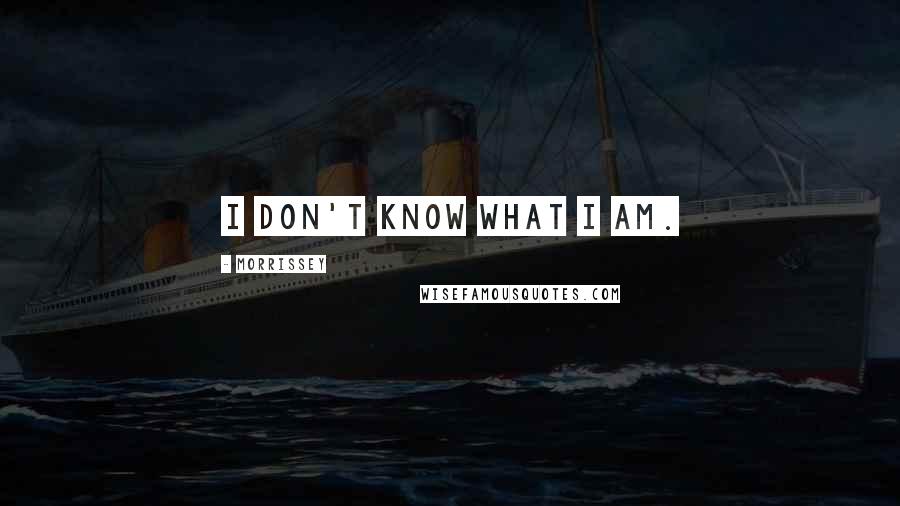 Morrissey Quotes: I don't know what I am.