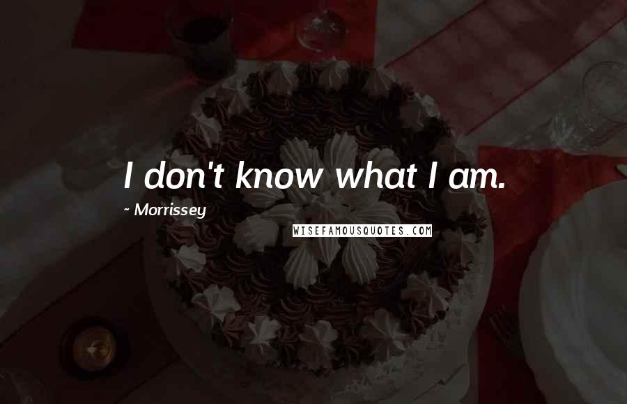 Morrissey Quotes: I don't know what I am.