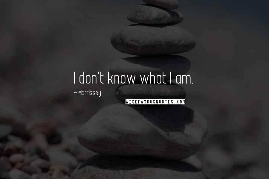 Morrissey Quotes: I don't know what I am.