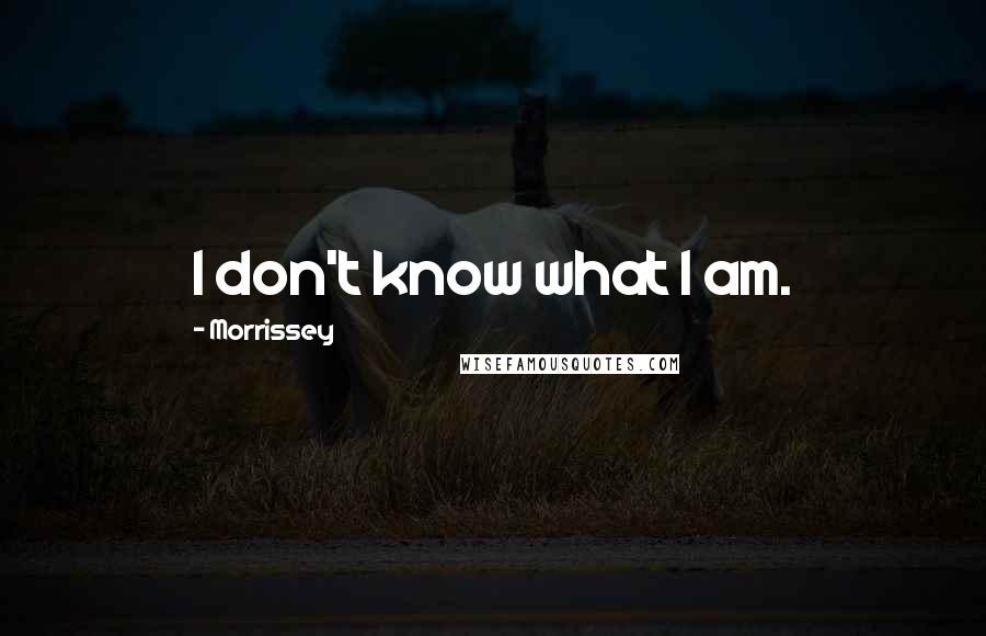 Morrissey Quotes: I don't know what I am.