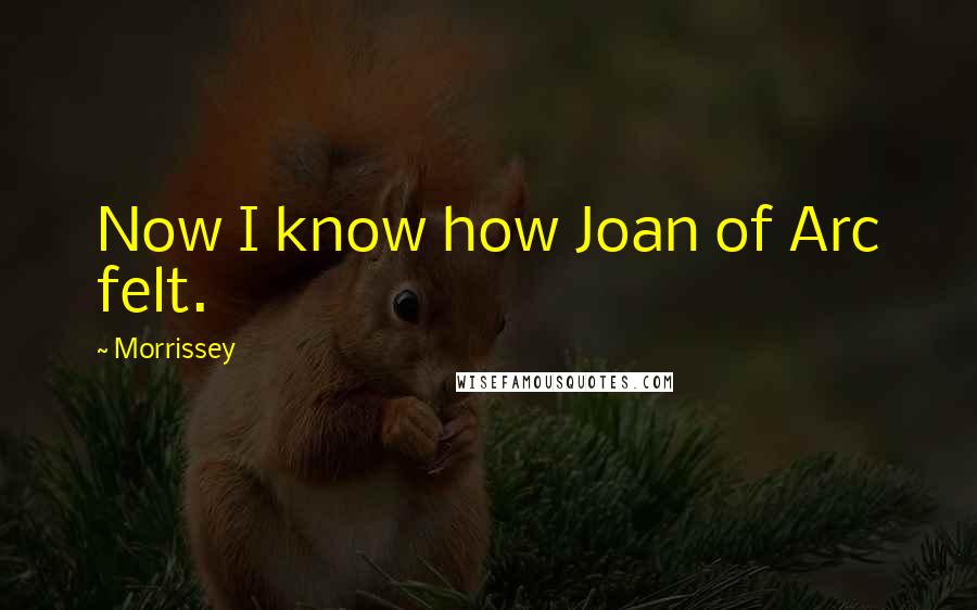 Morrissey Quotes: Now I know how Joan of Arc felt.