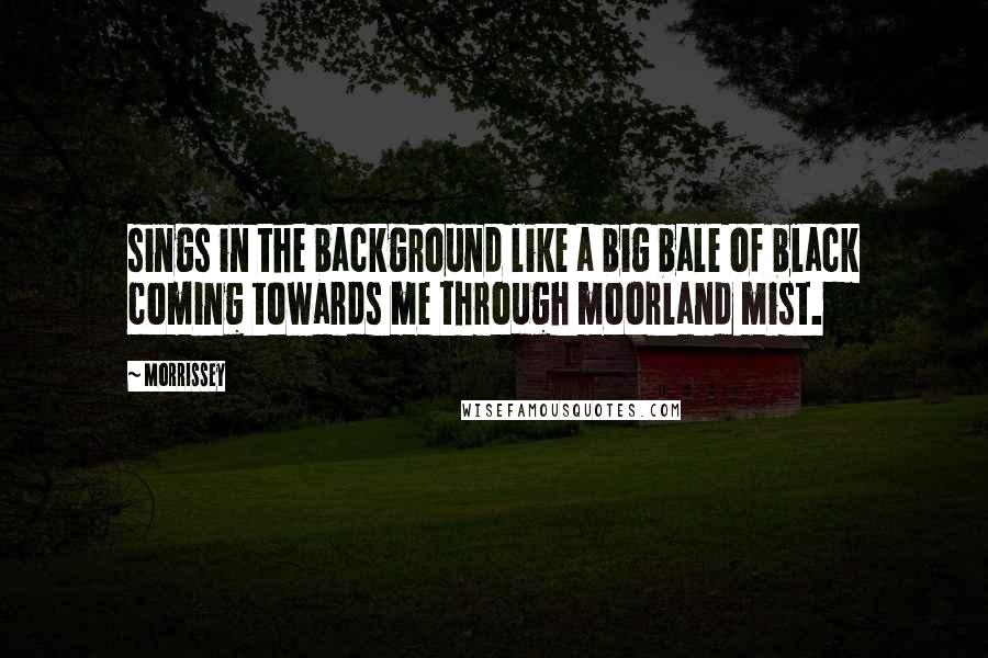 Morrissey Quotes: sings in the background like a big bale of black coming towards me through moorland mist.