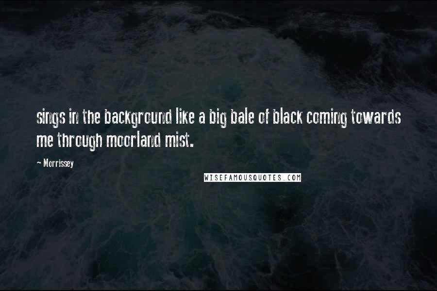 Morrissey Quotes: sings in the background like a big bale of black coming towards me through moorland mist.